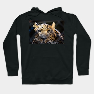 Wild life design Hoodie